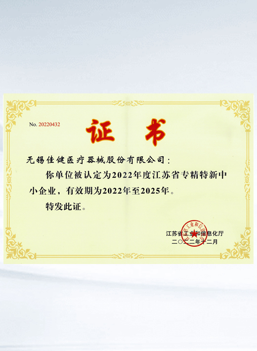 Provincial specialty special new small and medium enterprise certificate
