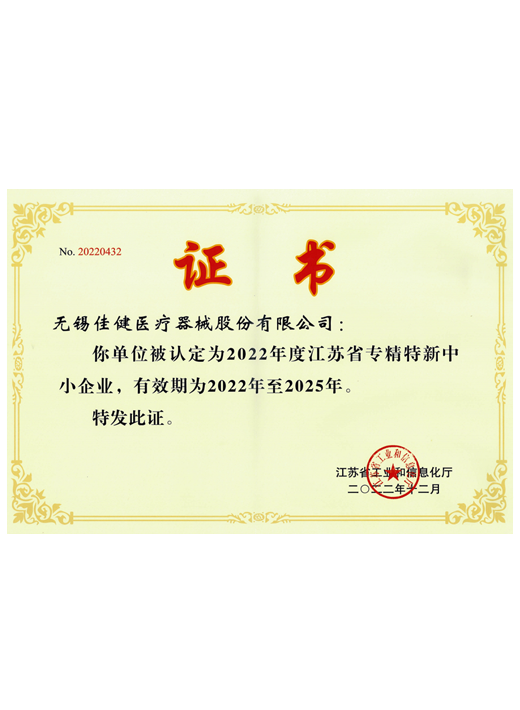 Provincial specialty special new small and medium enterprise certificate